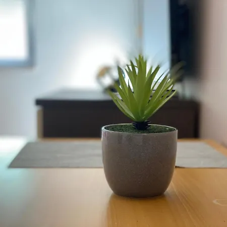 San Monte Apartment Podstrana