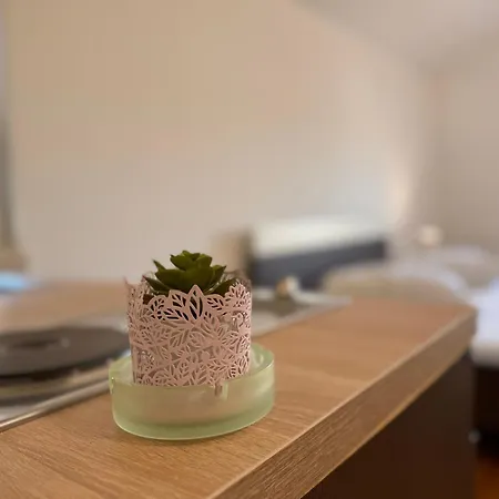 Apartment San Monte *