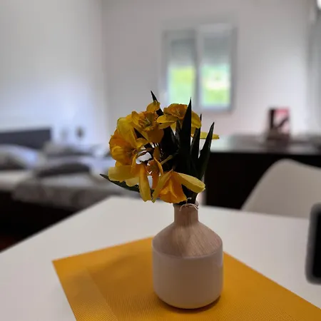 Apartment San Monte