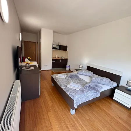 San Monte Apartment *